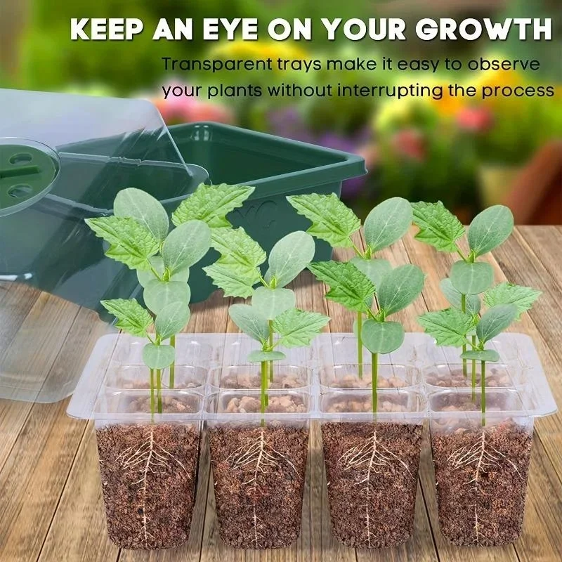 12Grids Seedling Trays Seed St - Dome Propagation Kit incelemesi ve fiyatı