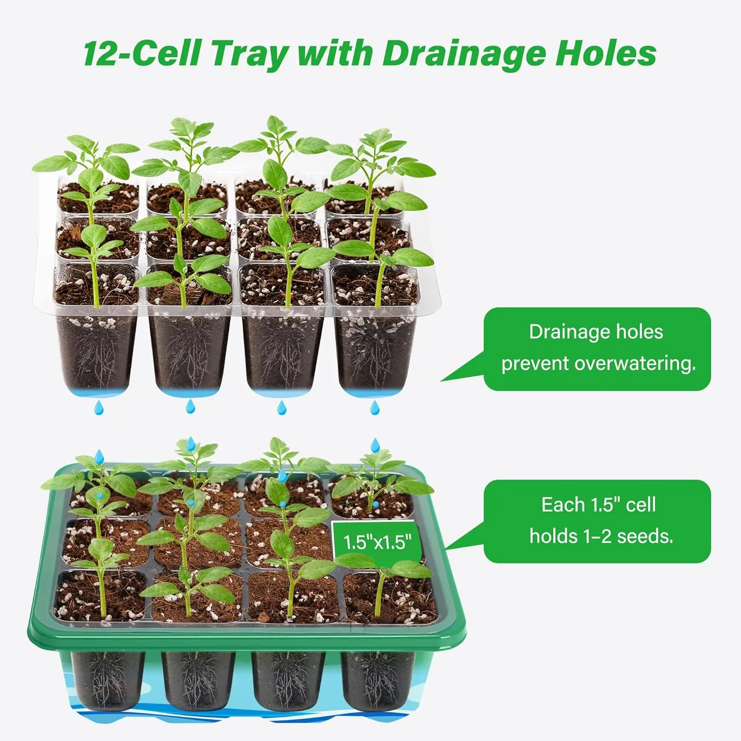 6/12 Grids Growing Starting Nu - Dome Propagation Kit incelemesi ve fiyatı