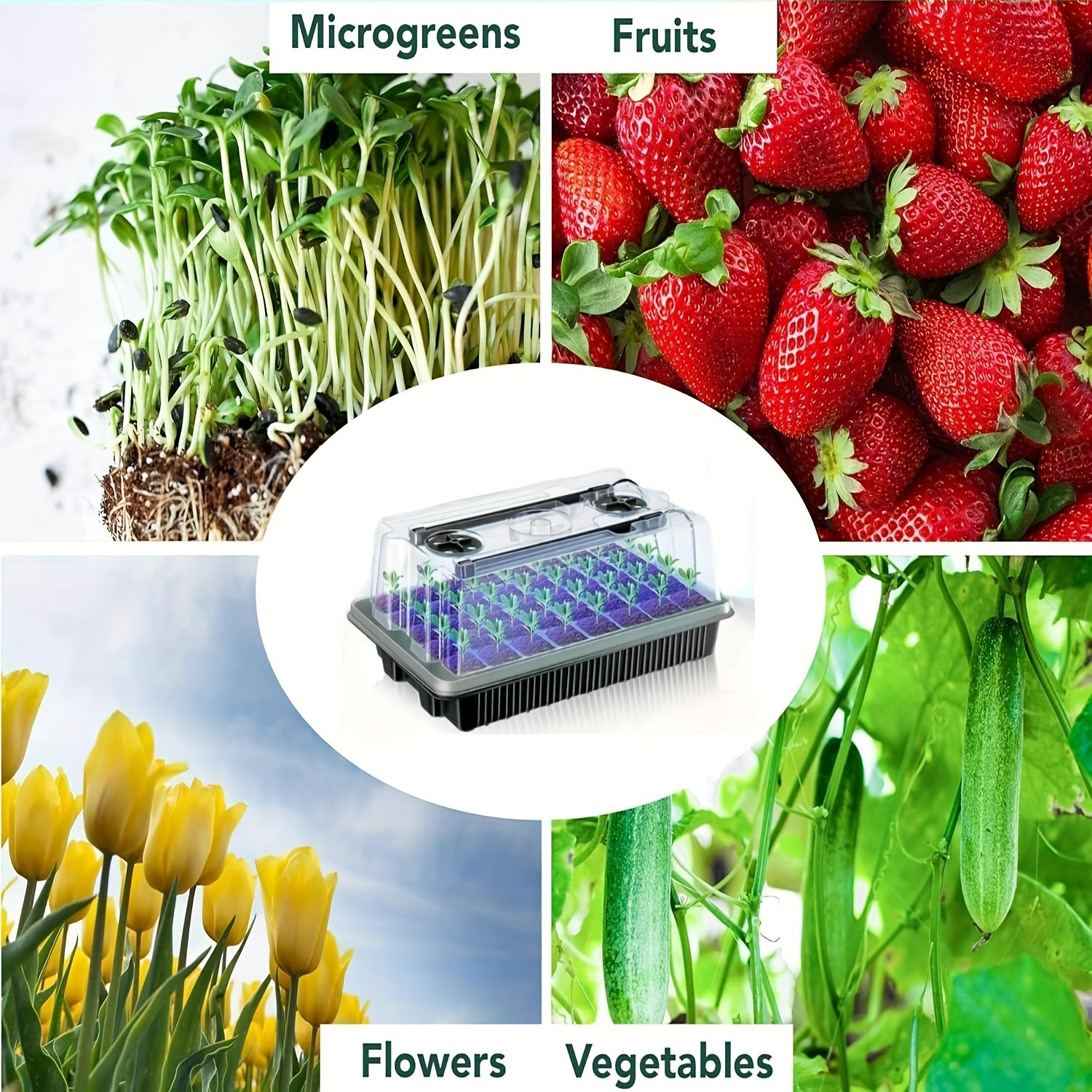 40/Cell Seed Starter Kit with  - Dome Propagation Kit incelemesi ve fiyatı