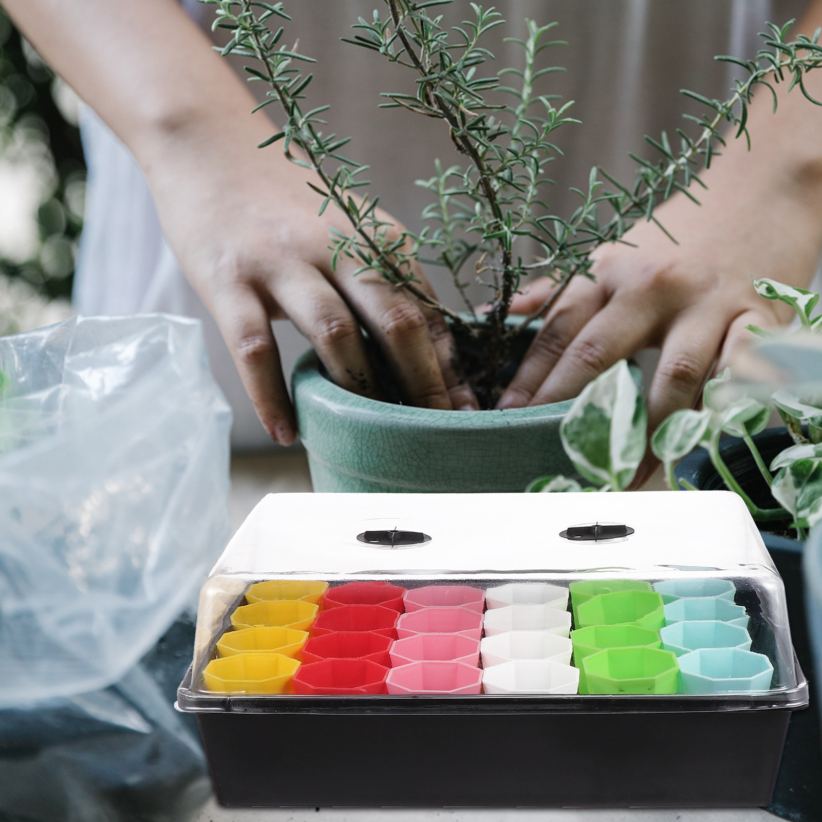 1Set Heavy Duty Sprouter Tray  - Dome Propagation Kit incelemesi ve fiyatı