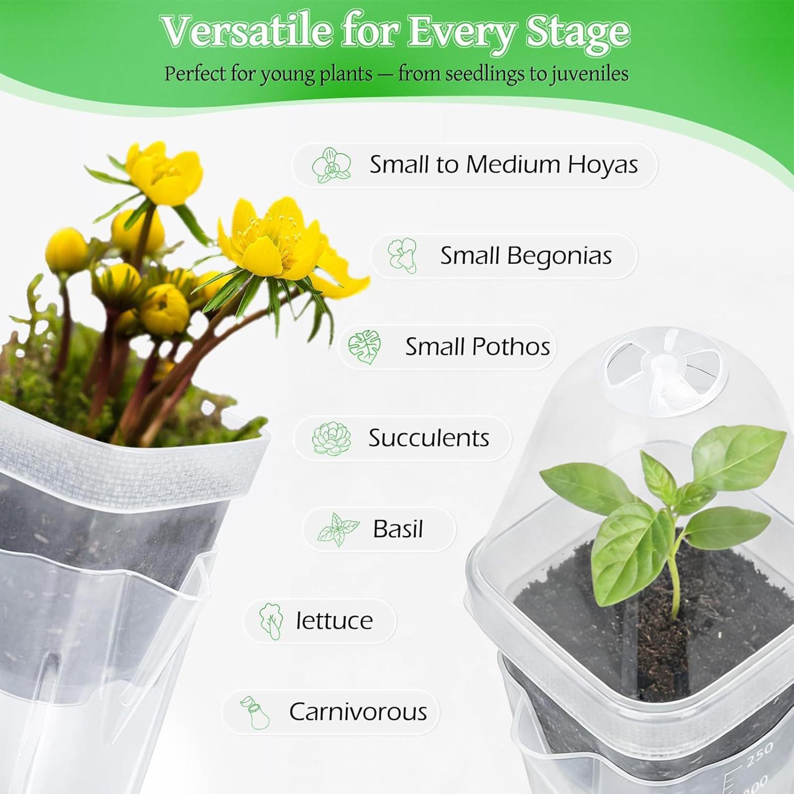 Self Watering Pots 12Pcs Seed  - Dome Propagation Kit incelemesi ve fiyatı