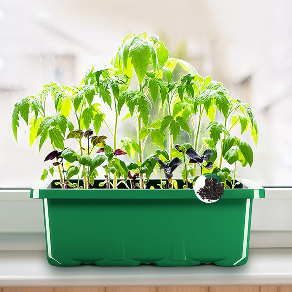 10pcs/set Seedling Trays Seed  - Dome Propagation Kit incelemesi ve fiyatı