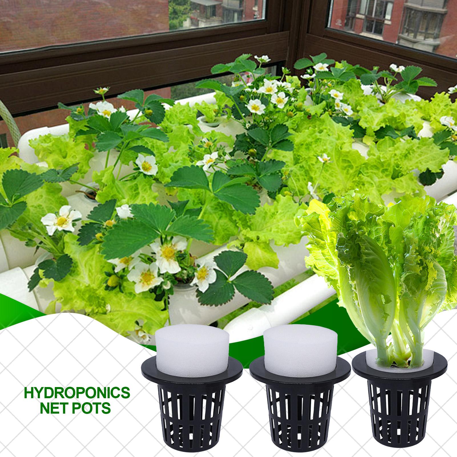 Net Pots For Hydroponics Hydro - Urban Farming Indoor incelemesi ve fiyatı
