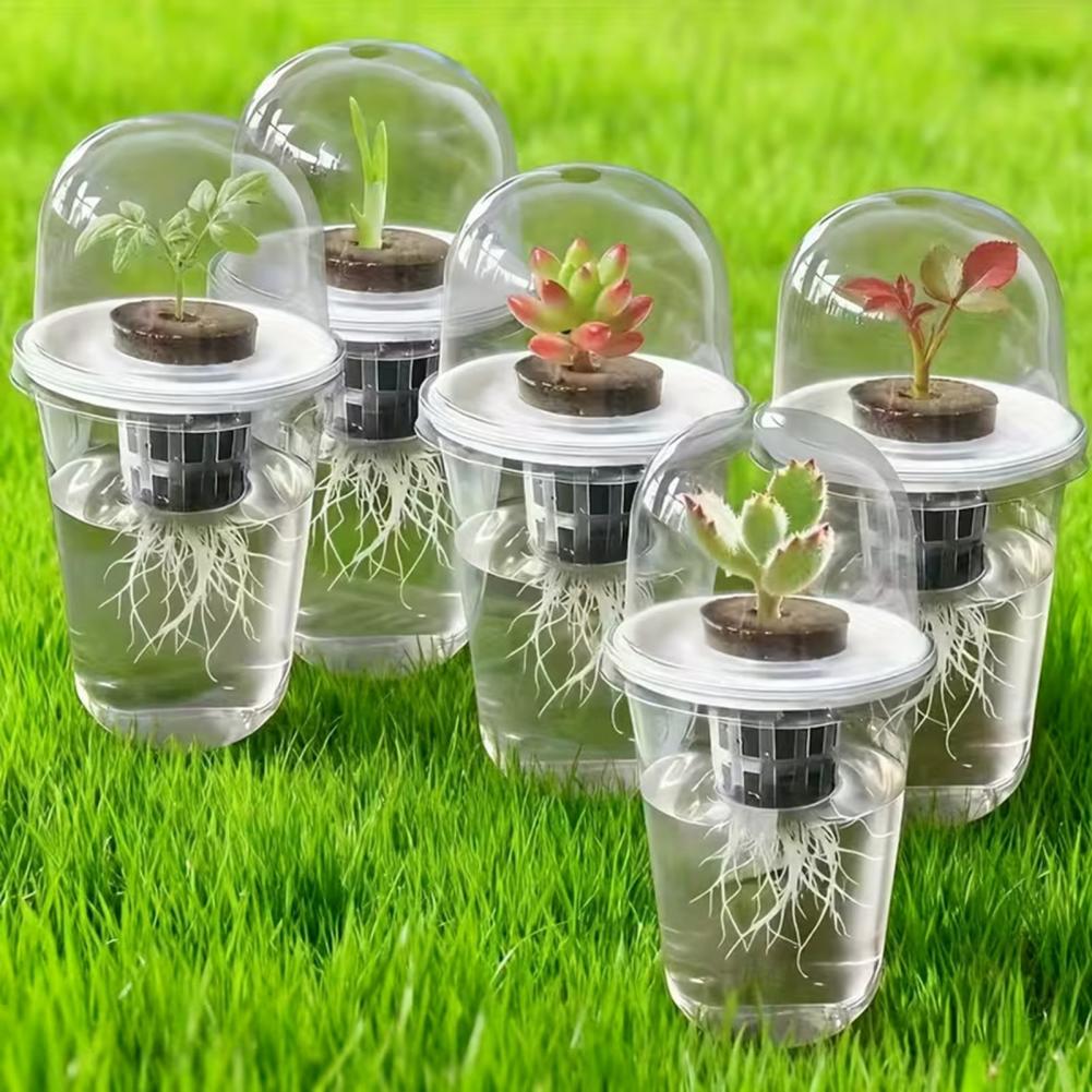Hydroponic S Starter Cup Plant - Dome Propagation Kit incelemesi ve fiyatı