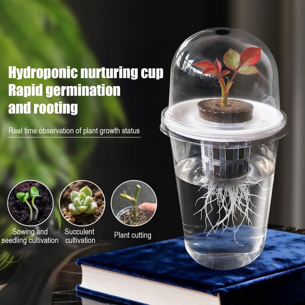 Hydroponic S Starter Cup Plant - Dome Propagation Kit incelemesi ve fiyatı
