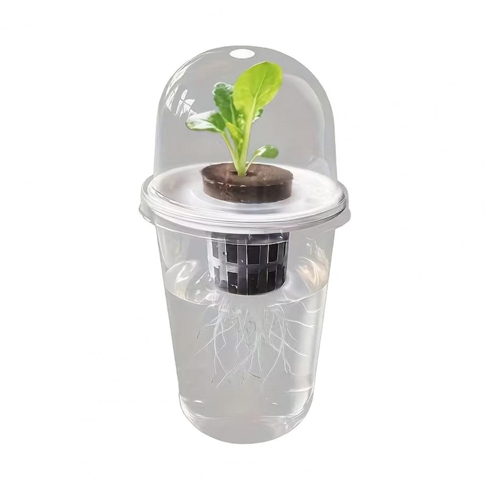Hydroponic S Starter Cup Plant - Dome Propagation Kit incelemesi ve fiyatı